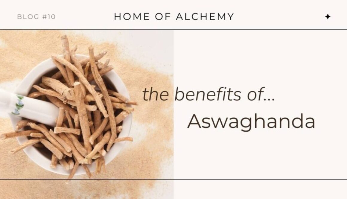 benefits of ashwaghanda